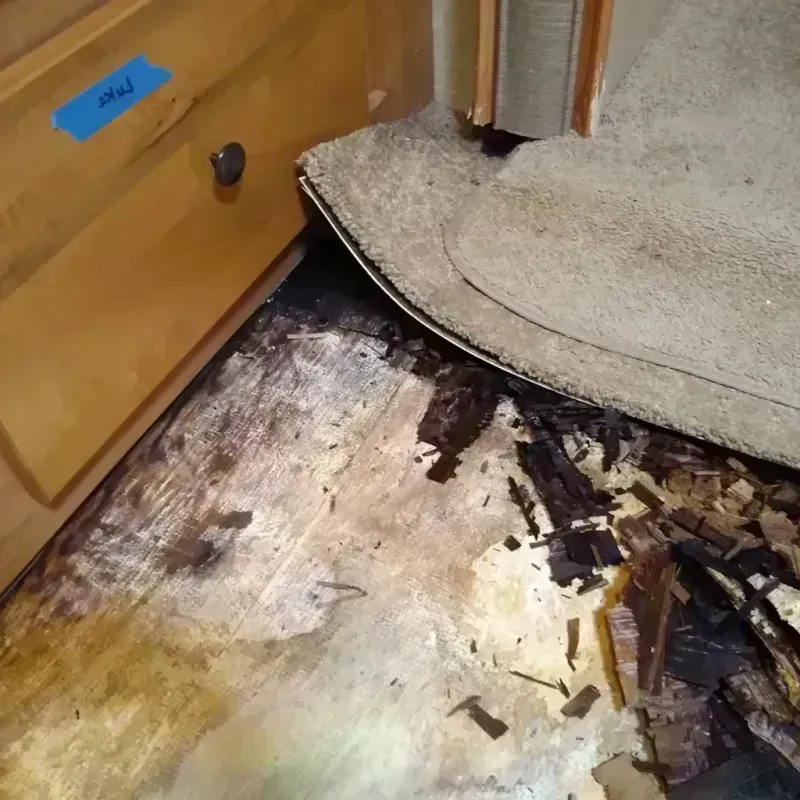 Wood Floor Water Damage in Citrus County, FL